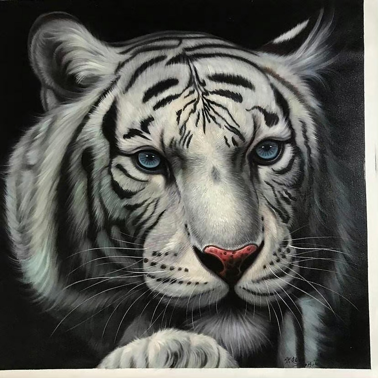 藏医有个说法 抑郁的人可以 多看老虎的眼睛 会画画的 可以自己画试试