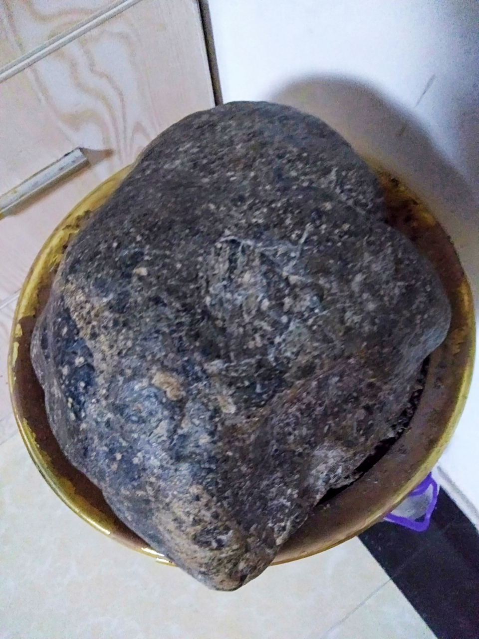 一块碳质球粒陨石,在碳质球粒内共生着许多细少的金刚石,切片放大五倍