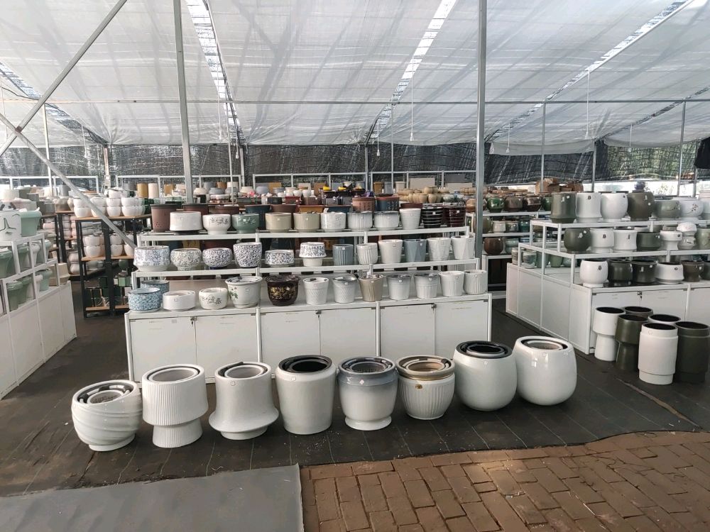 999498漯河花盆批发#各种各样的花盆#漯河花盆批发在哪里