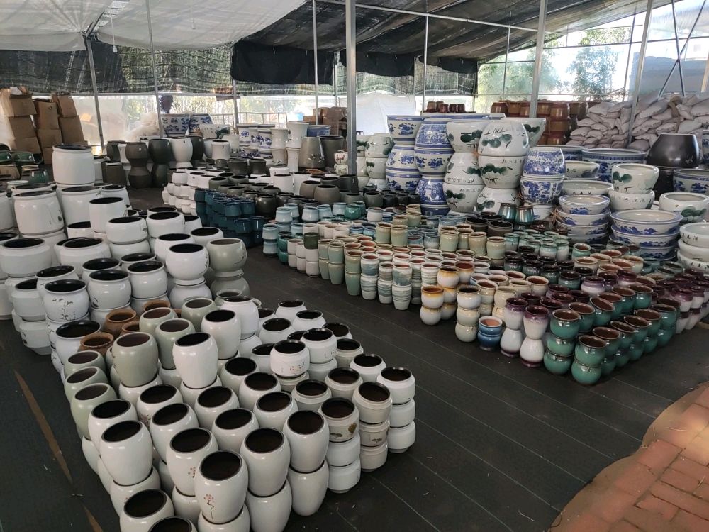 漯河花盆批发#各种各样的花盆#漯河花盆批发在哪里