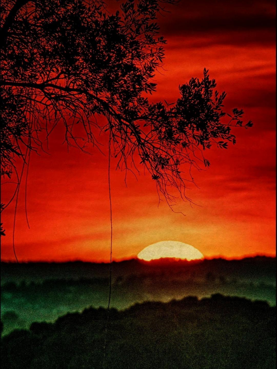 分享一组摄影师拍摄的风景照片,滤镜运用给画面带来了版画的质感.