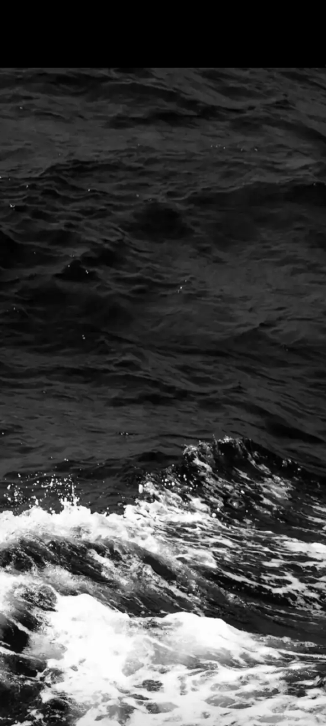 以后大海再也不是蓝色的了, 而是黑色的了