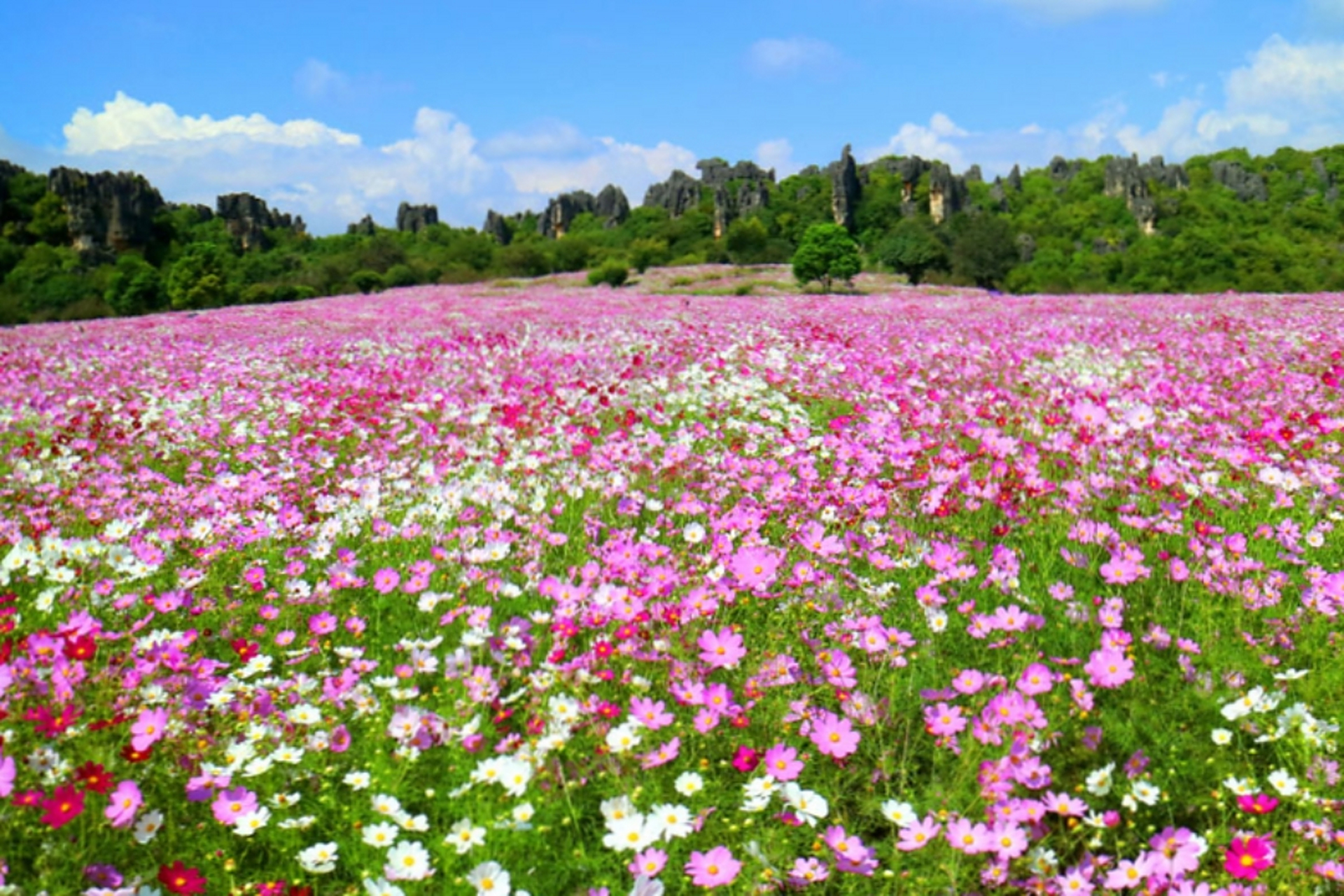 昆明为什么不适合长期居住为什么在线