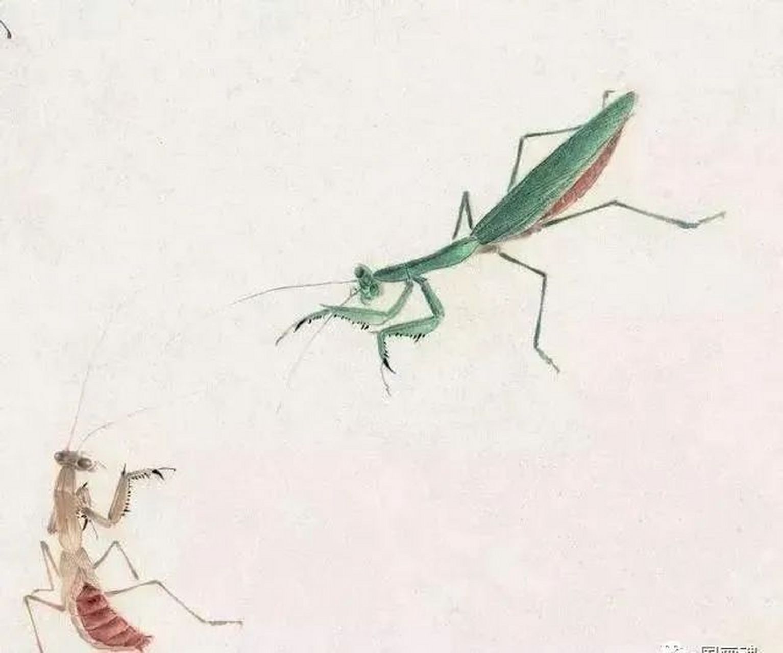 百度秋冬打卡挑战赛#齐白石的草虫蚂蚱,栩栩如生,活灵活现#金秋图文