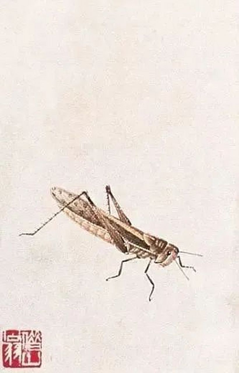 百度秋冬打卡挑战赛#齐白石的草虫蚂蚱,栩栩如生,活灵活现#金秋图文