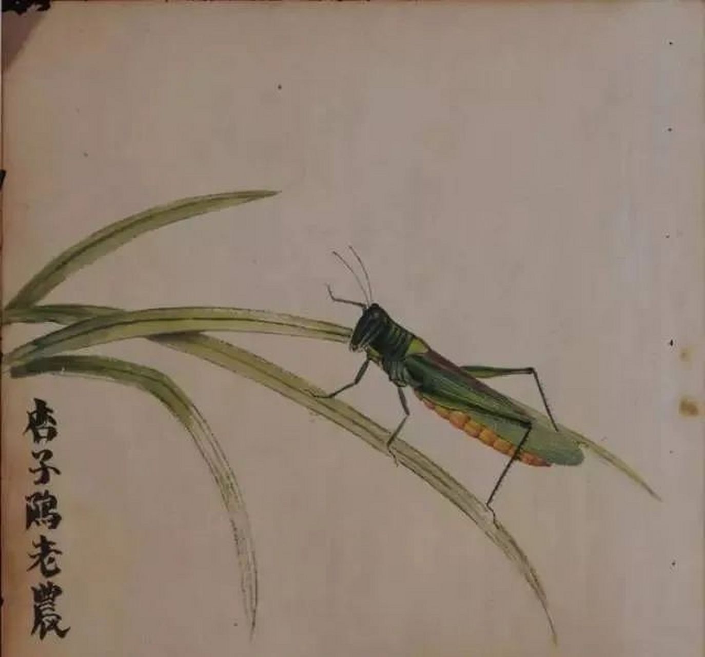 百度秋冬打卡挑战赛#齐白石的草虫蚂蚱,栩栩如生,活灵活现#金秋图文