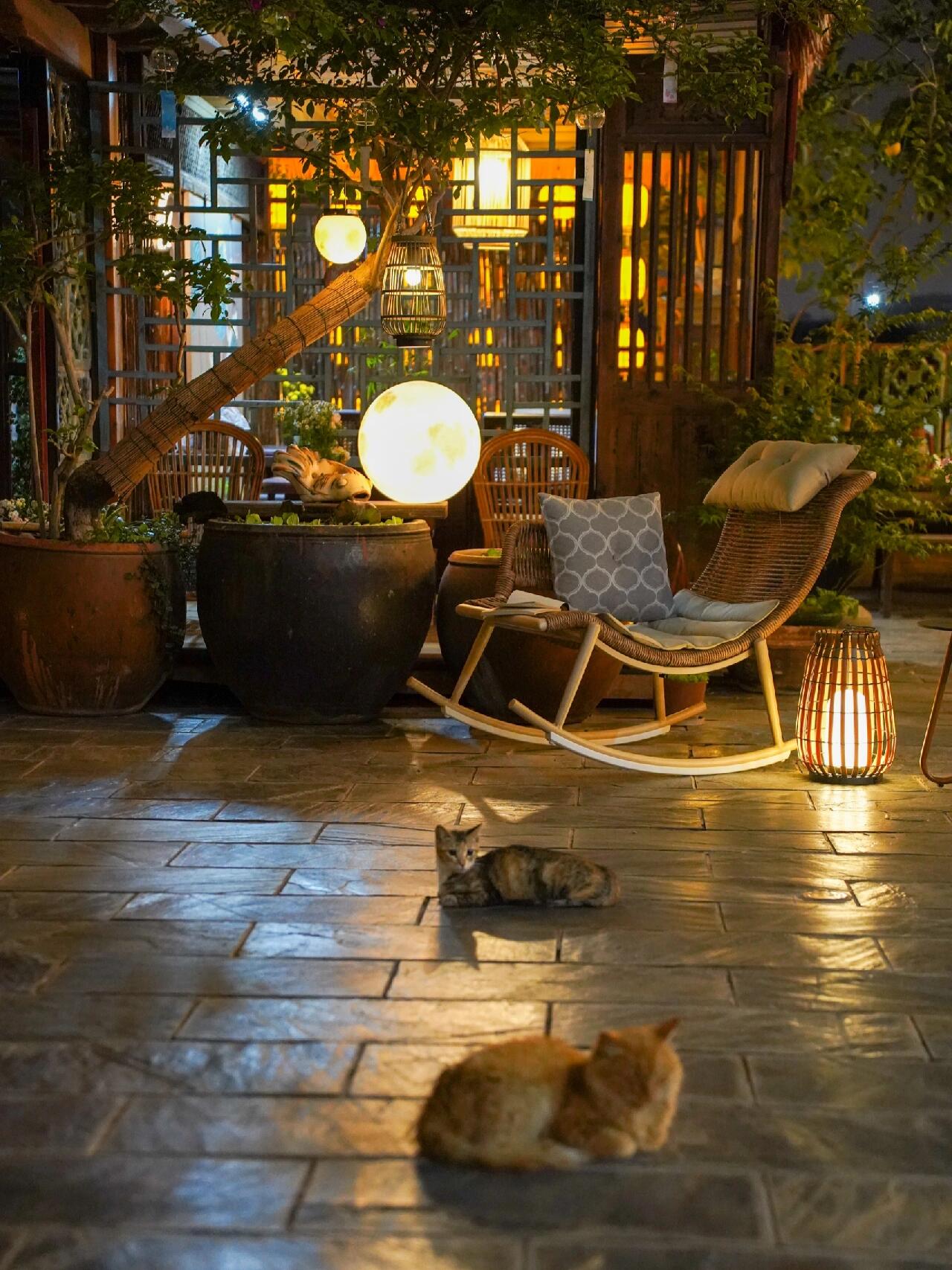 夏天的夜晚,谁懂这一刻幸福夜晚的庭院里,月光洒在石板上,两只猫儿