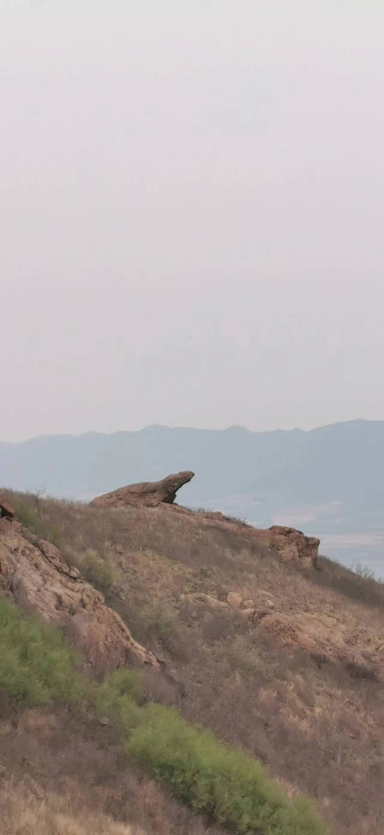 锦州板石沟龟山图片