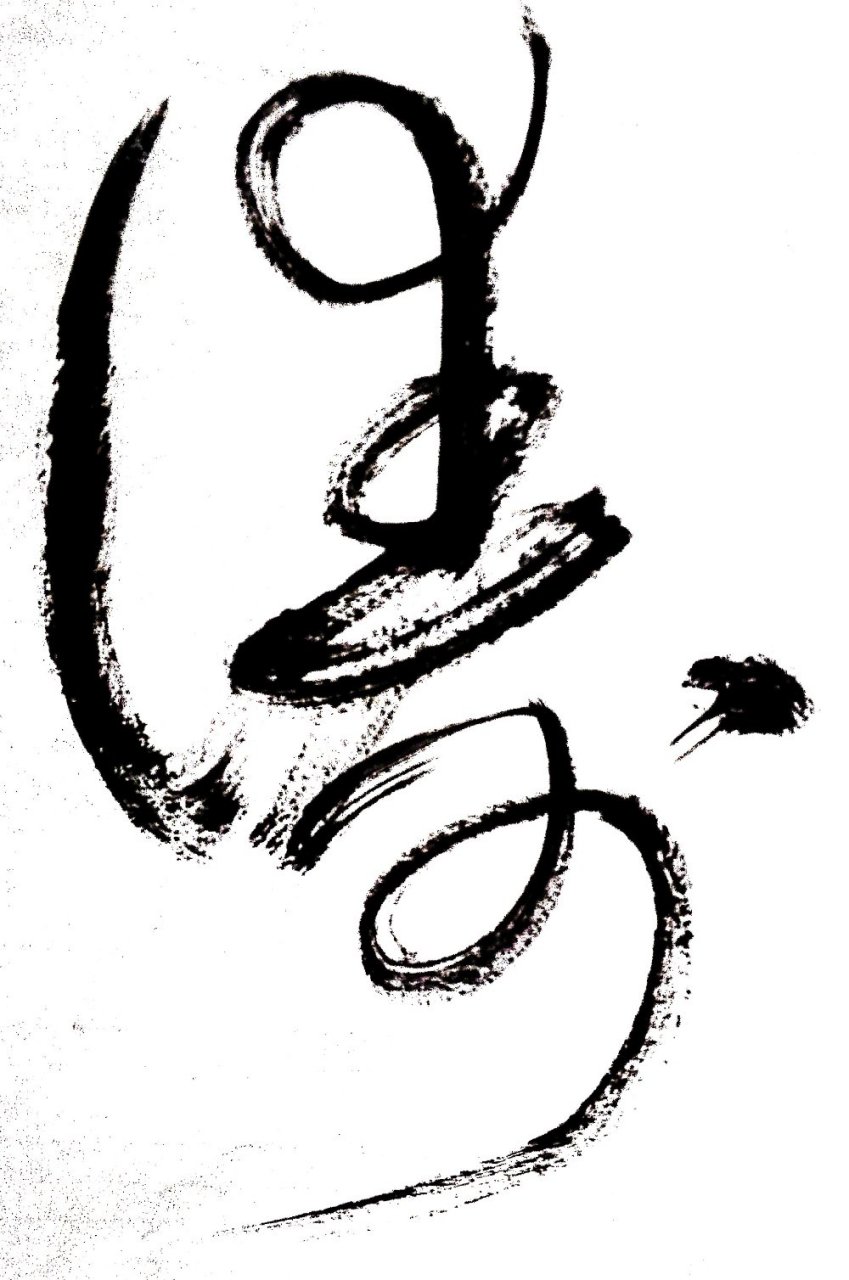 草书     涛