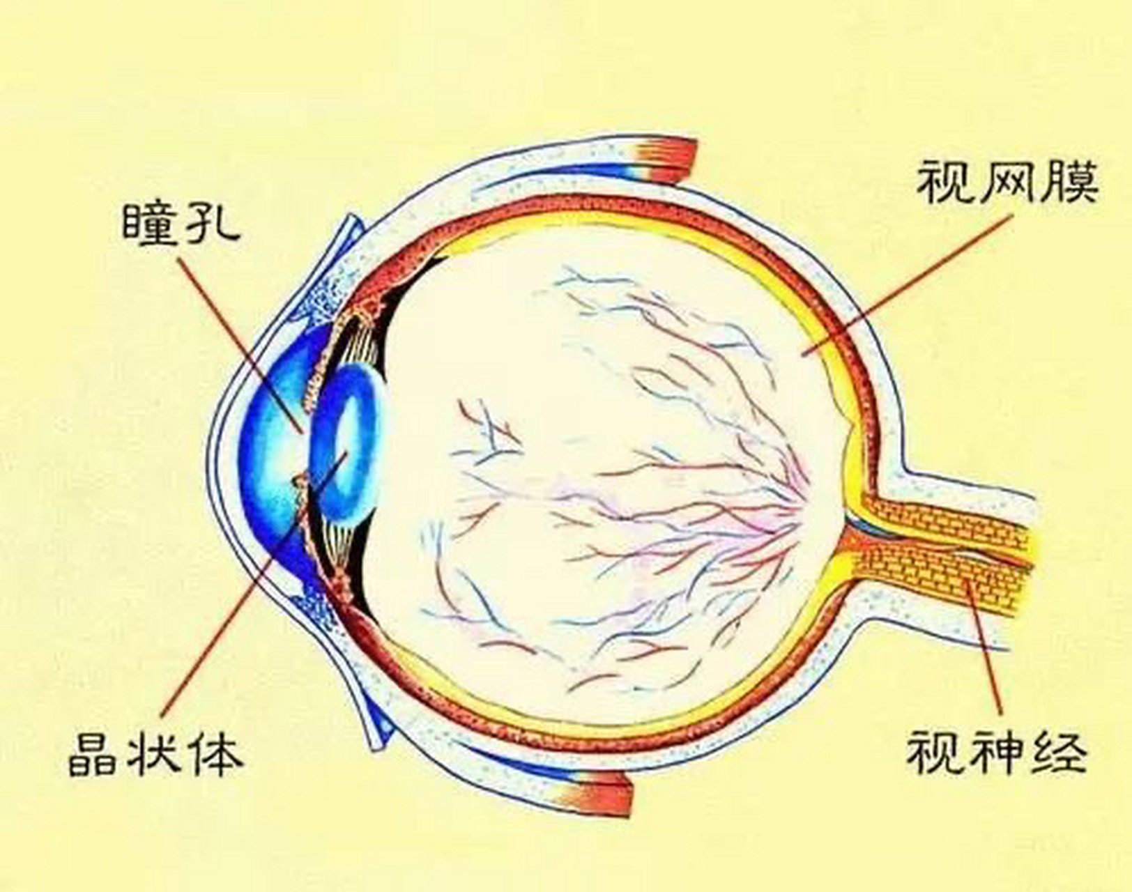 衛目世明護眼液是保護眼睛再方便再有效的一款產品,廣藥白雲山,大品牌