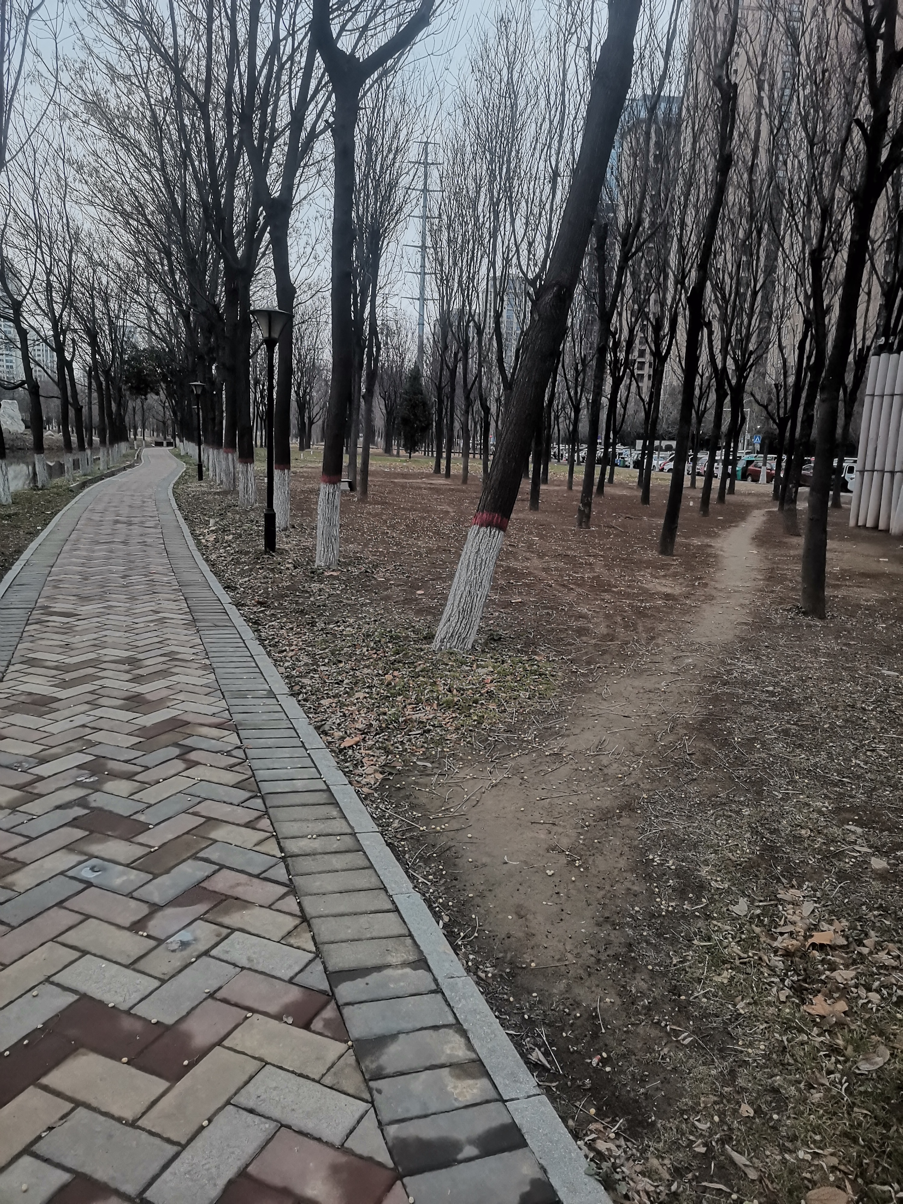 很多非物质文化遗产,我今天所说的就是祖传的"中国传统文化"