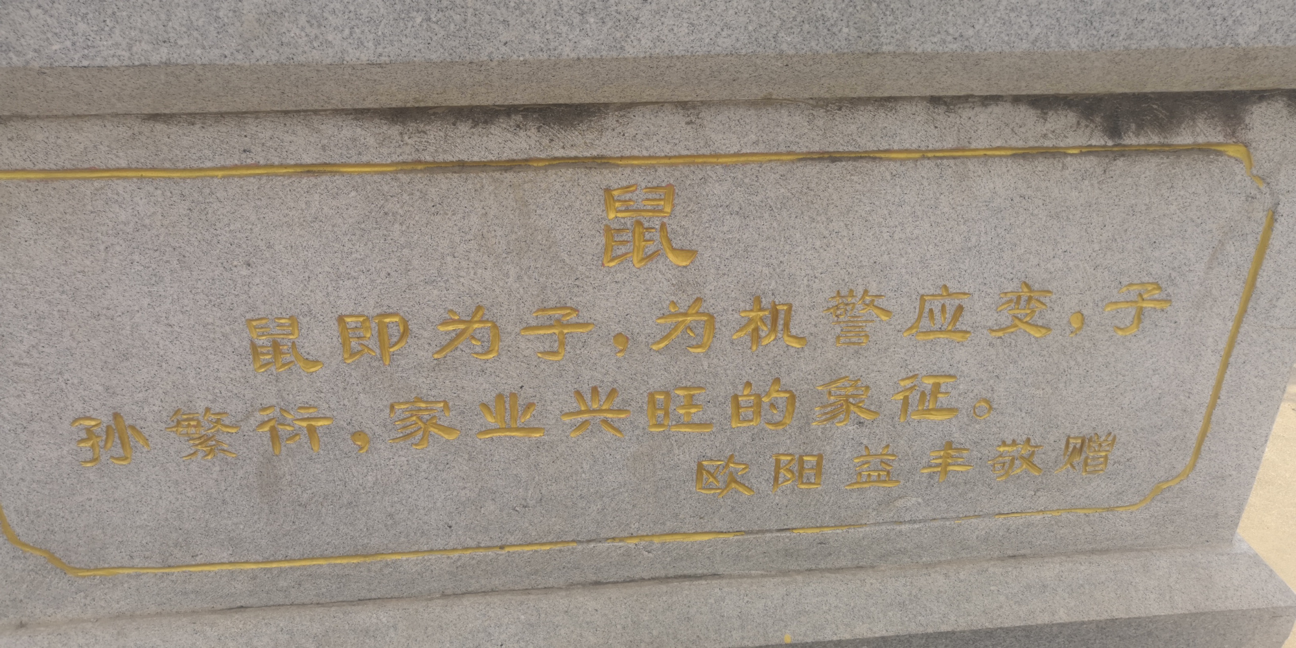 鼠牙雀角  鼠目寸光  鼠窃狗盗   鼠腹鸡肠   鼠首偾事  鼠肝虫臂