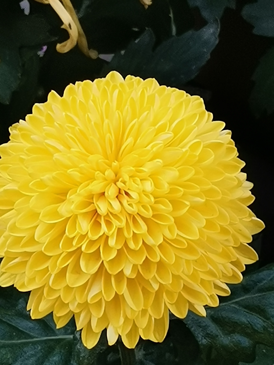 960_1280竖版 竖屏gif 动态图 动图