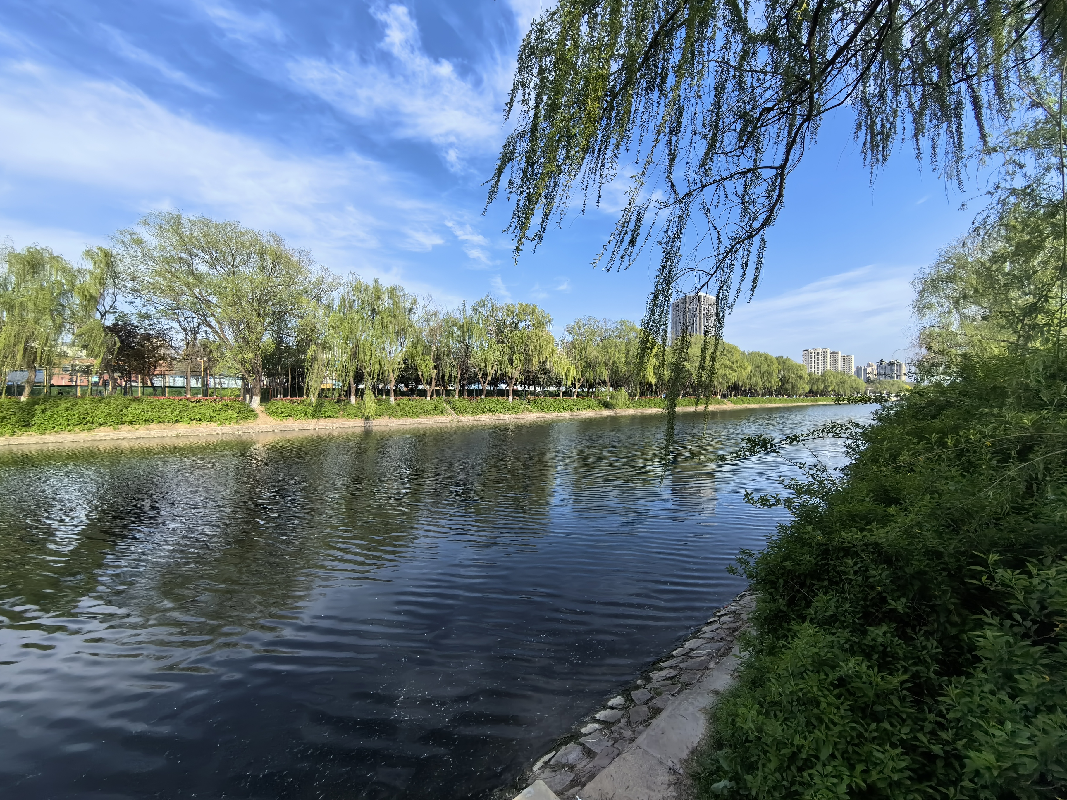 清淠河千亩游园-游园随拍