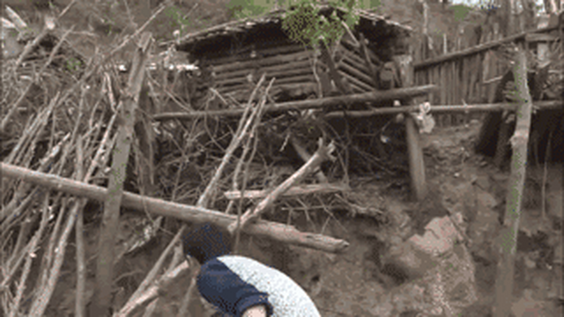 真香君生气了[滑稽]