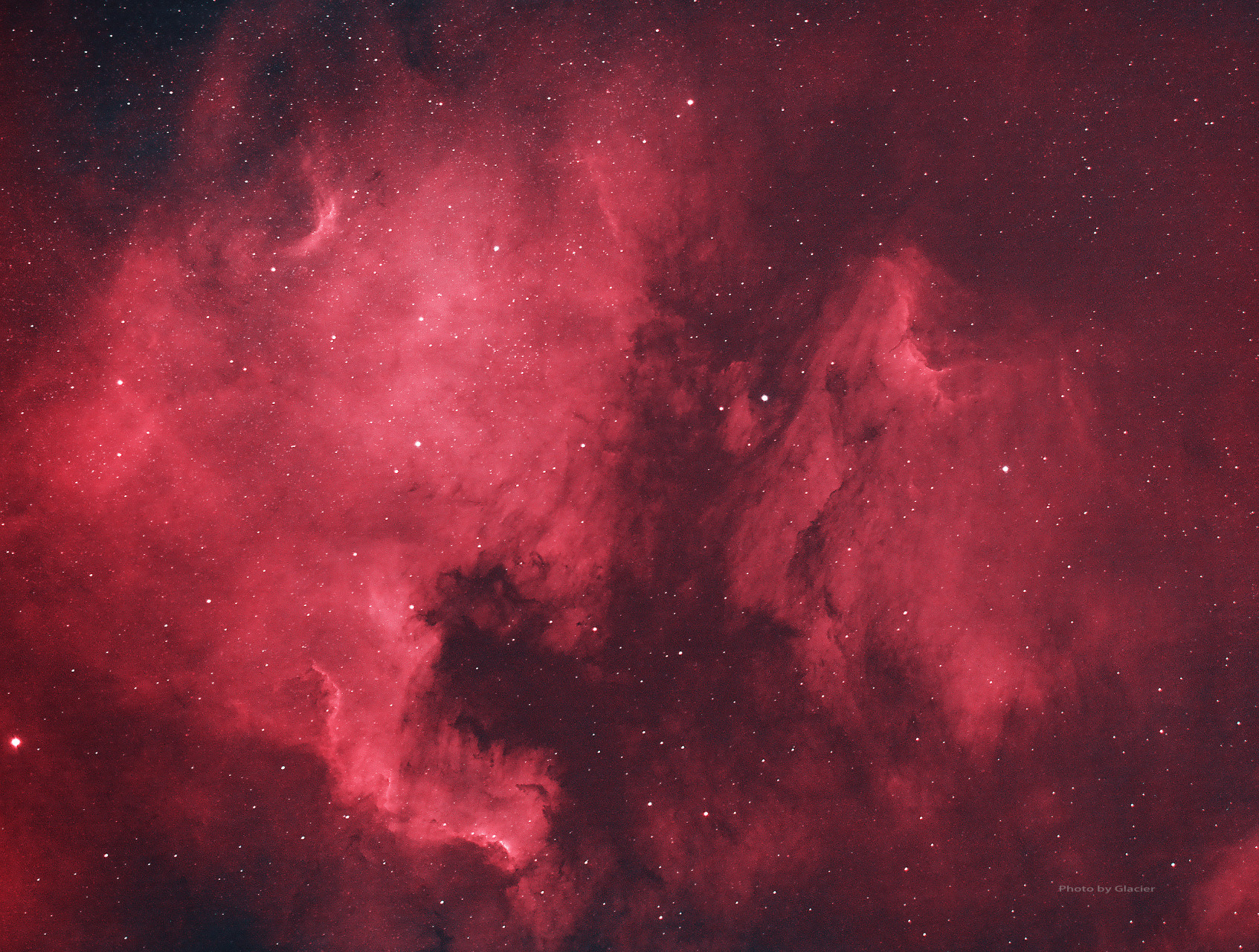 北美与鹈鹕星云 左边像个北美洲地图编号ngc7000 右边像个鹈鹕,编号