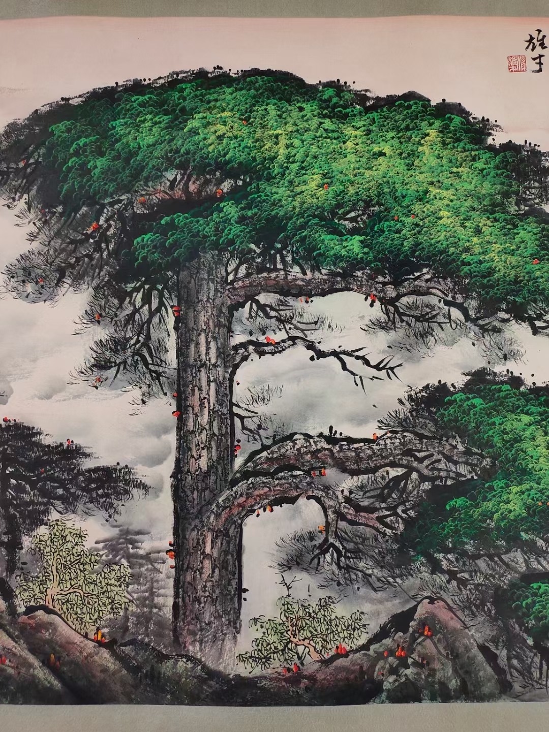 精品收藏 黎雄才 长青不老松图镜片