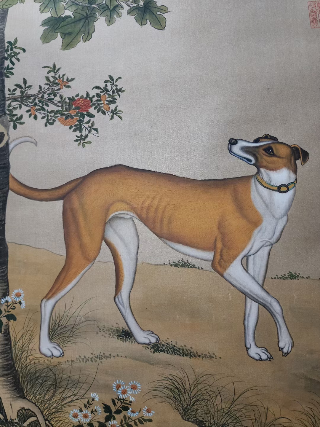 精品收藏 清 郎世宁 犬图立轴 绢画.  画心尺寸77*51.5cm.