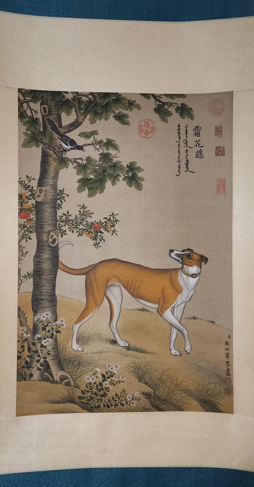 精品收藏 清 郎世宁 犬图立轴 绢画.  画心尺寸77*51.5cm.