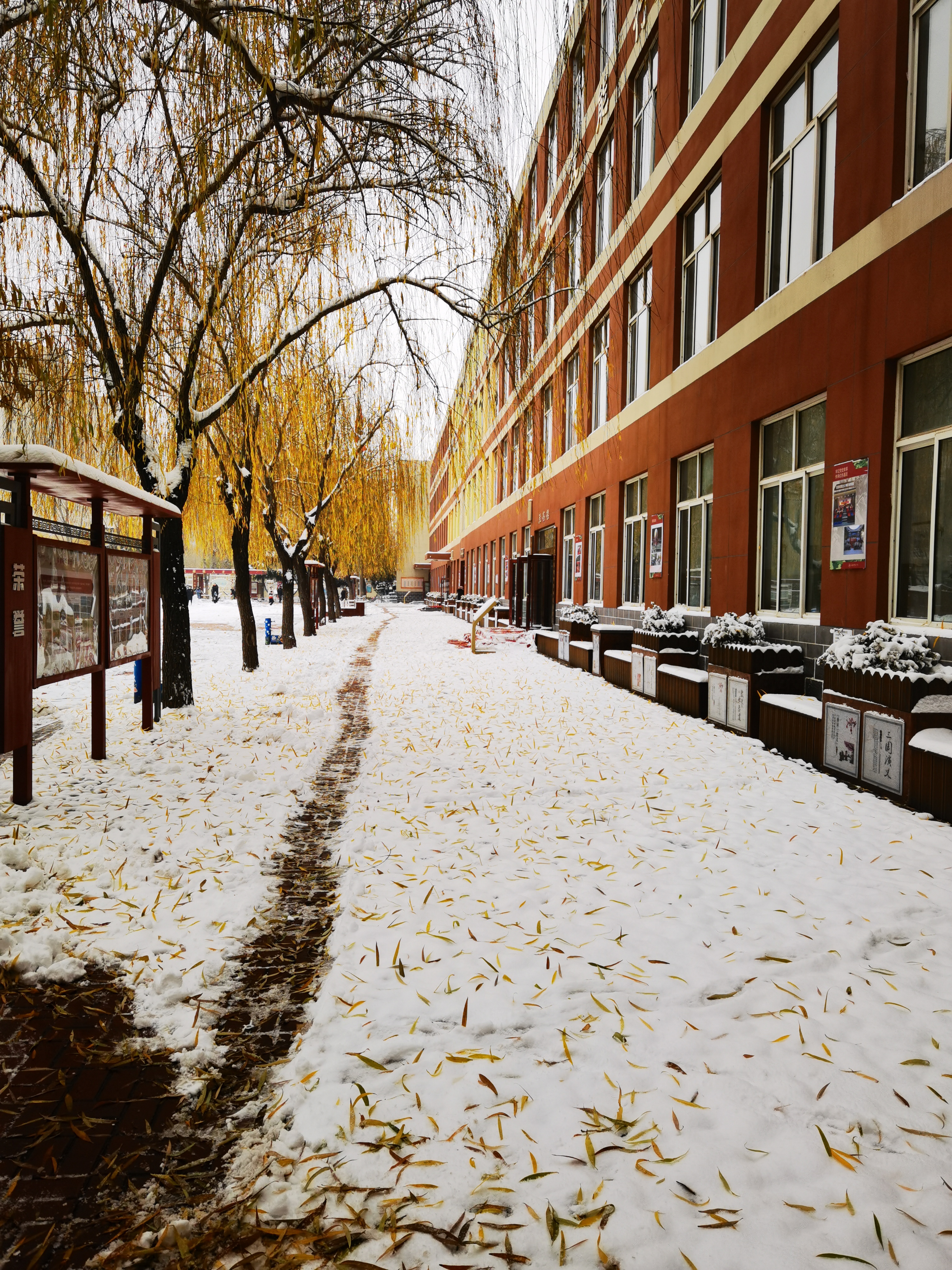 承德医学院雪景图片