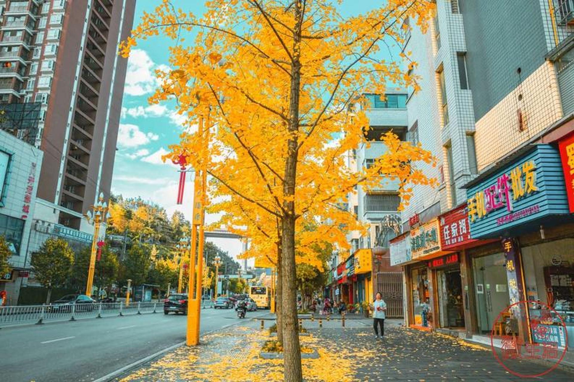 镇雄帮这个梗,被网友玩坏了 镇雄是云南省第一人口大县,有170万 .