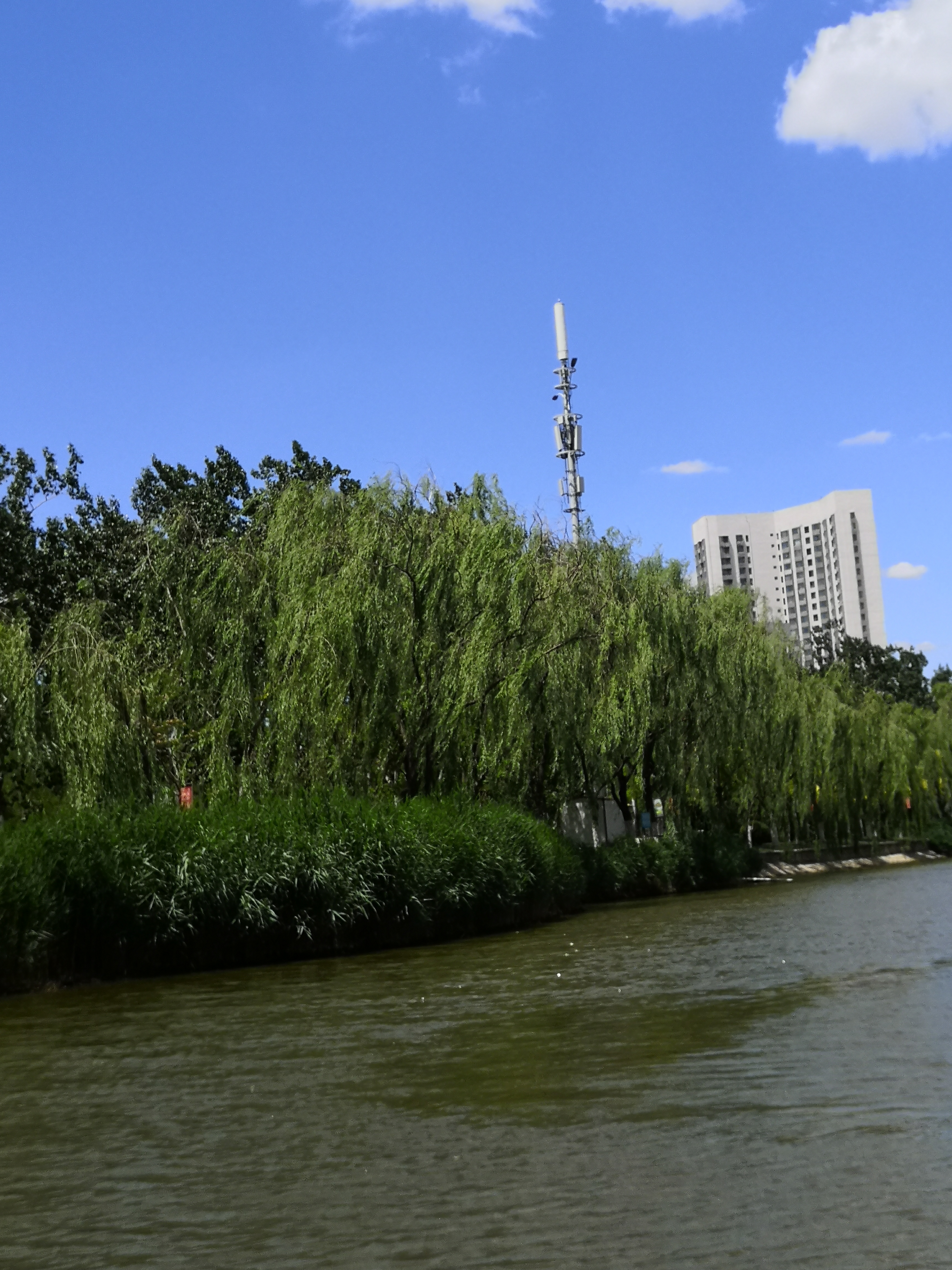 带俩娃,天津堆山公园(南翠屏公园)半日游.