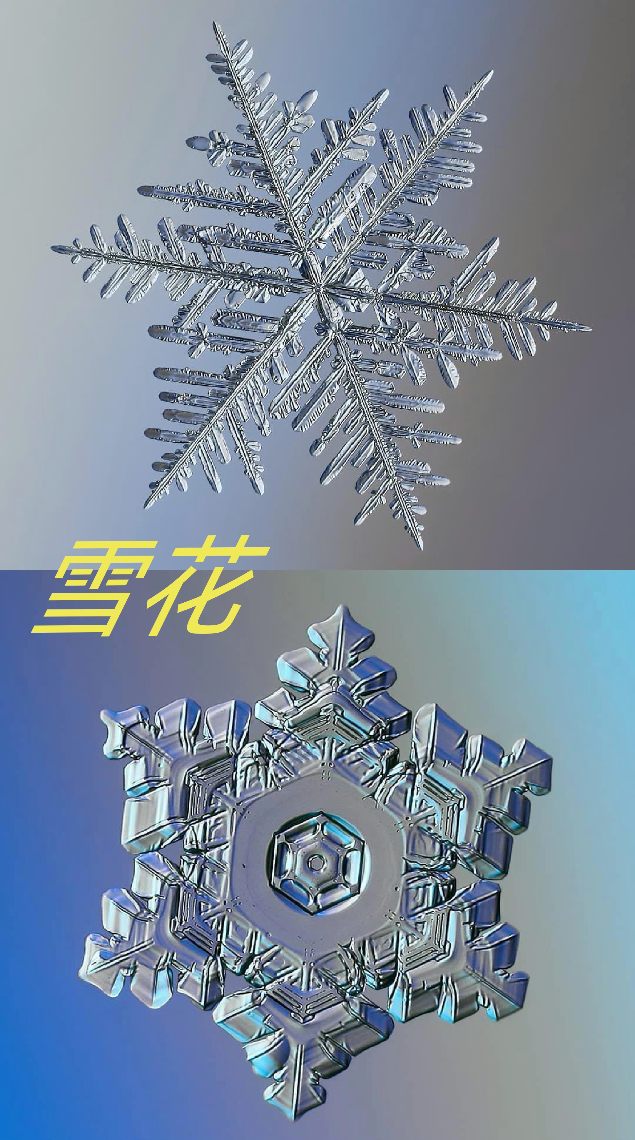 雪花放大一亿倍图片