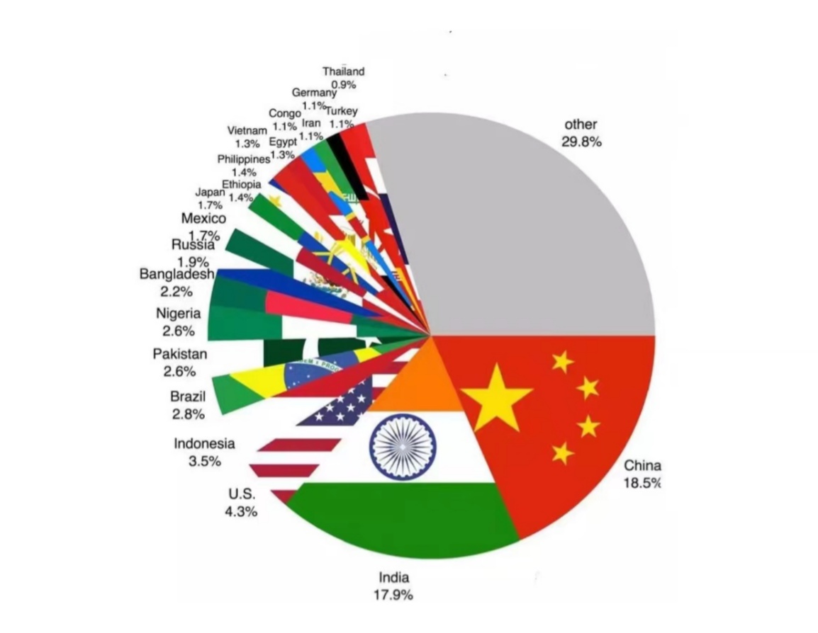 世界语言分布图简图图片