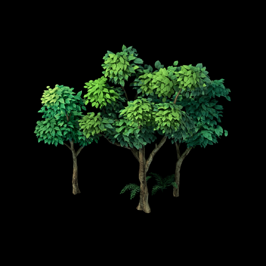 乔木 trees 小松 dwarf pine 山茶 camellia (英)大枫树;(埃及)无花果