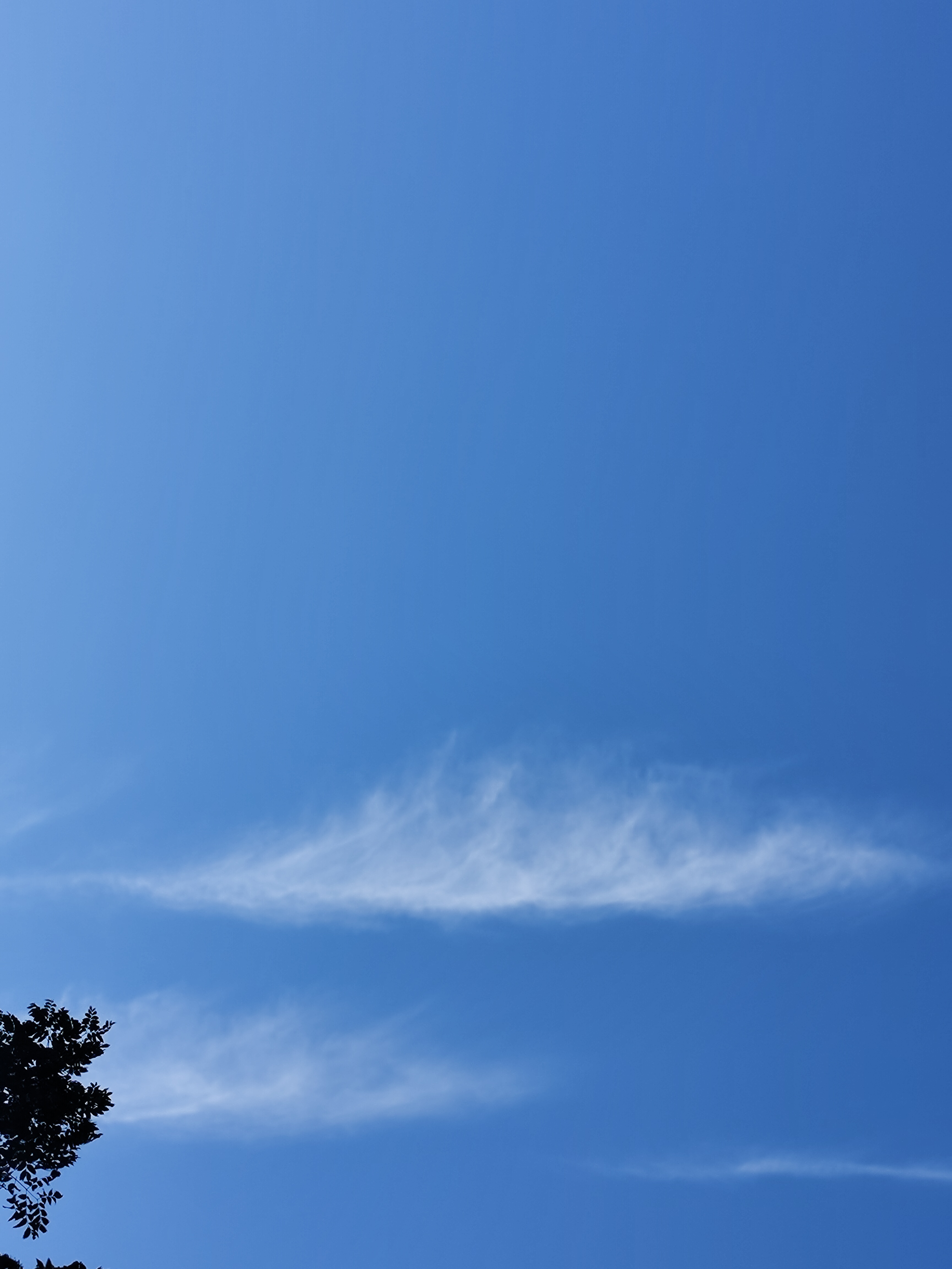 卧看天空浮云