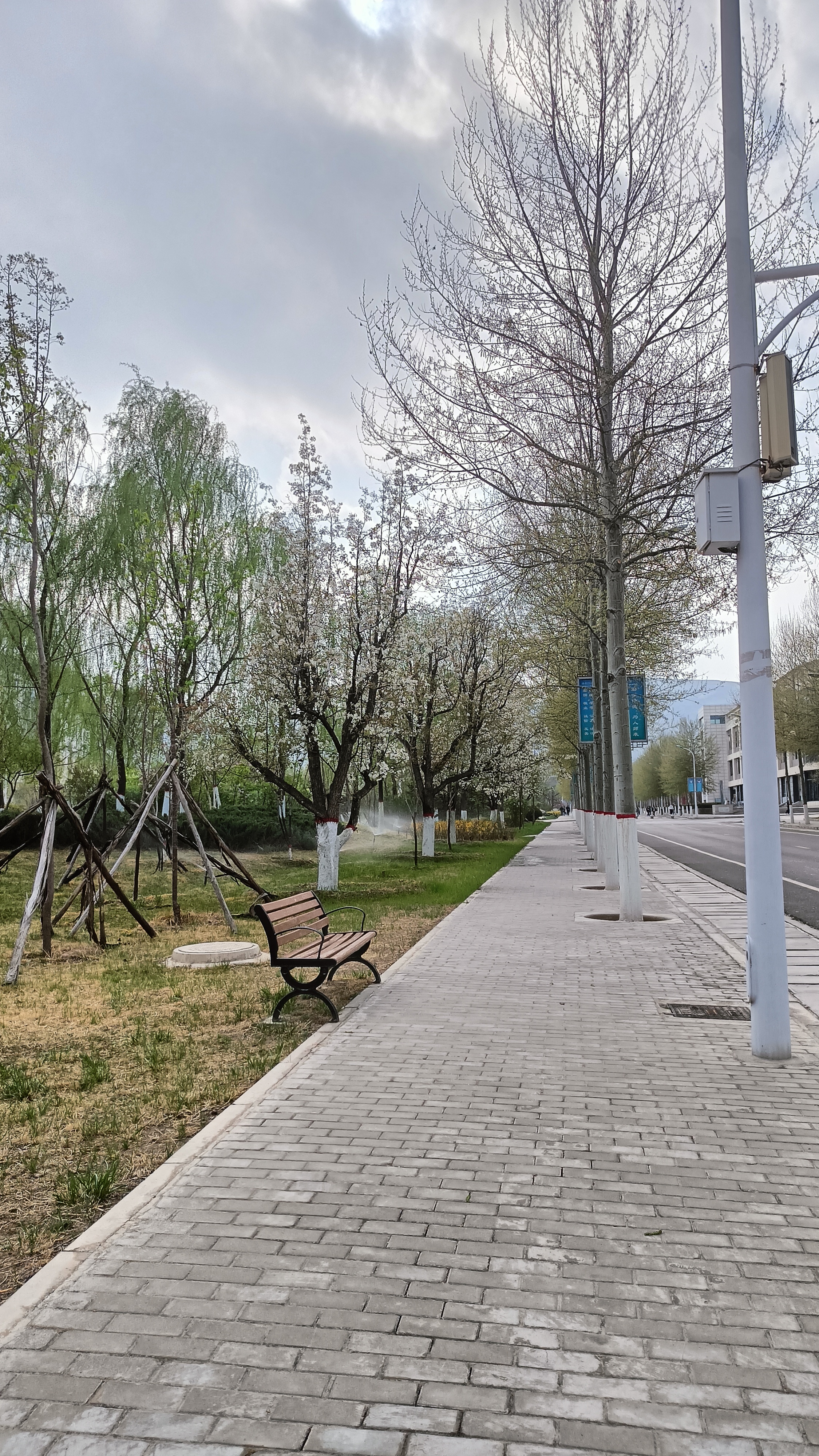 青海师范大学夜景图片