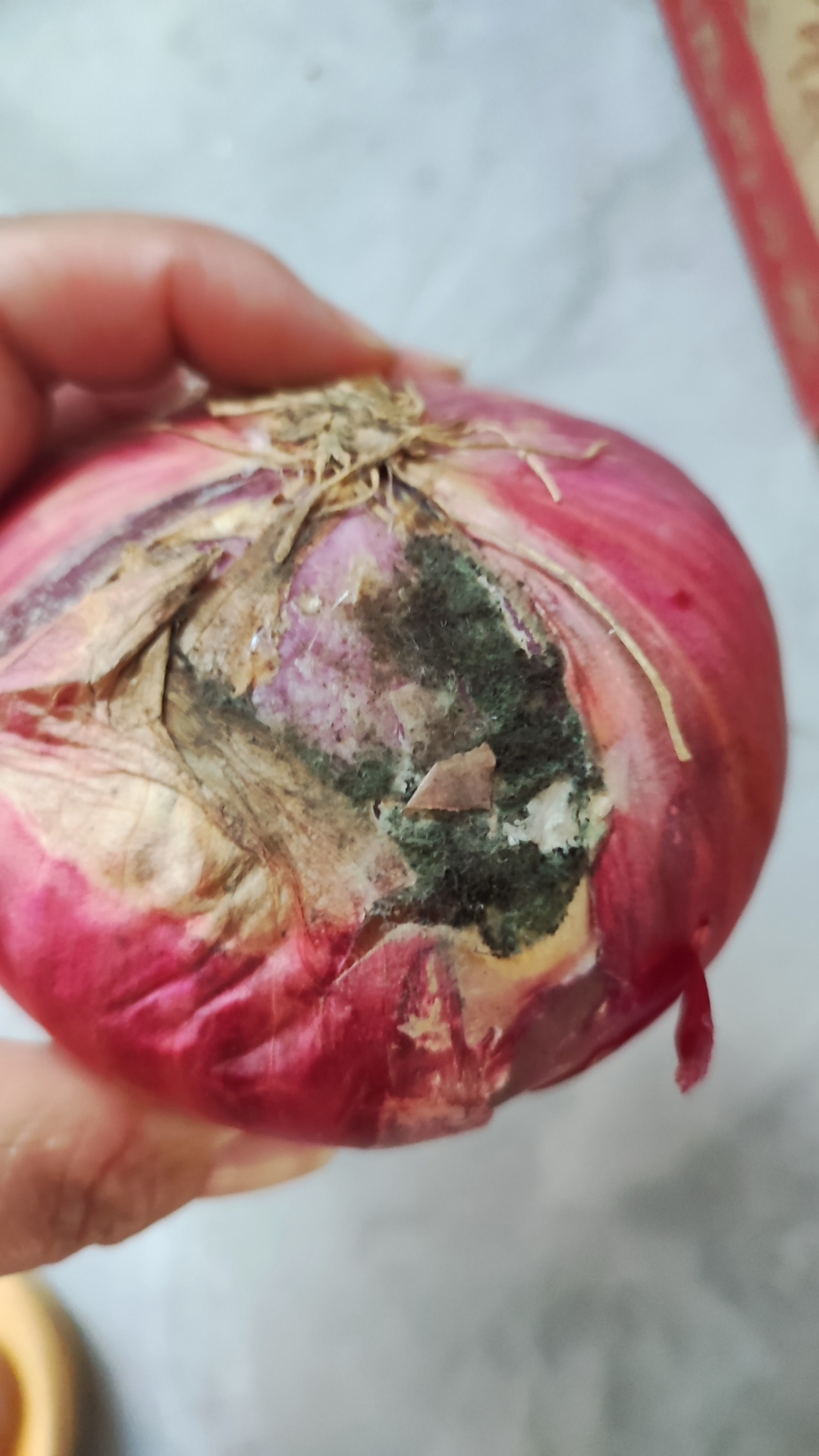 买个洋葱也中奖