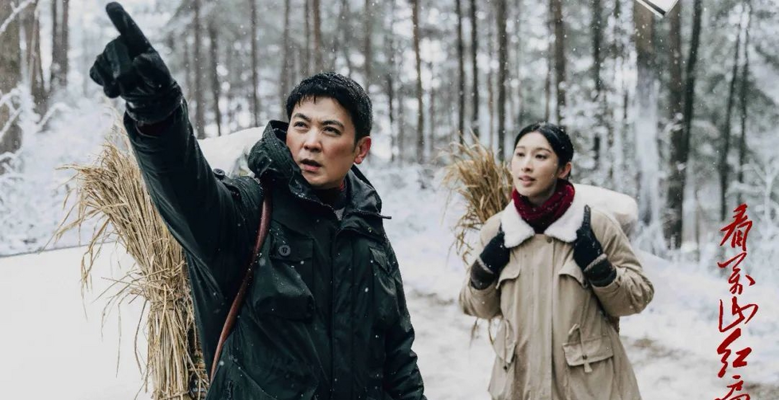 欧阳黔森编剧,张多福执导,电视剧《#看万山红遍#》拟定7月2日起登陆