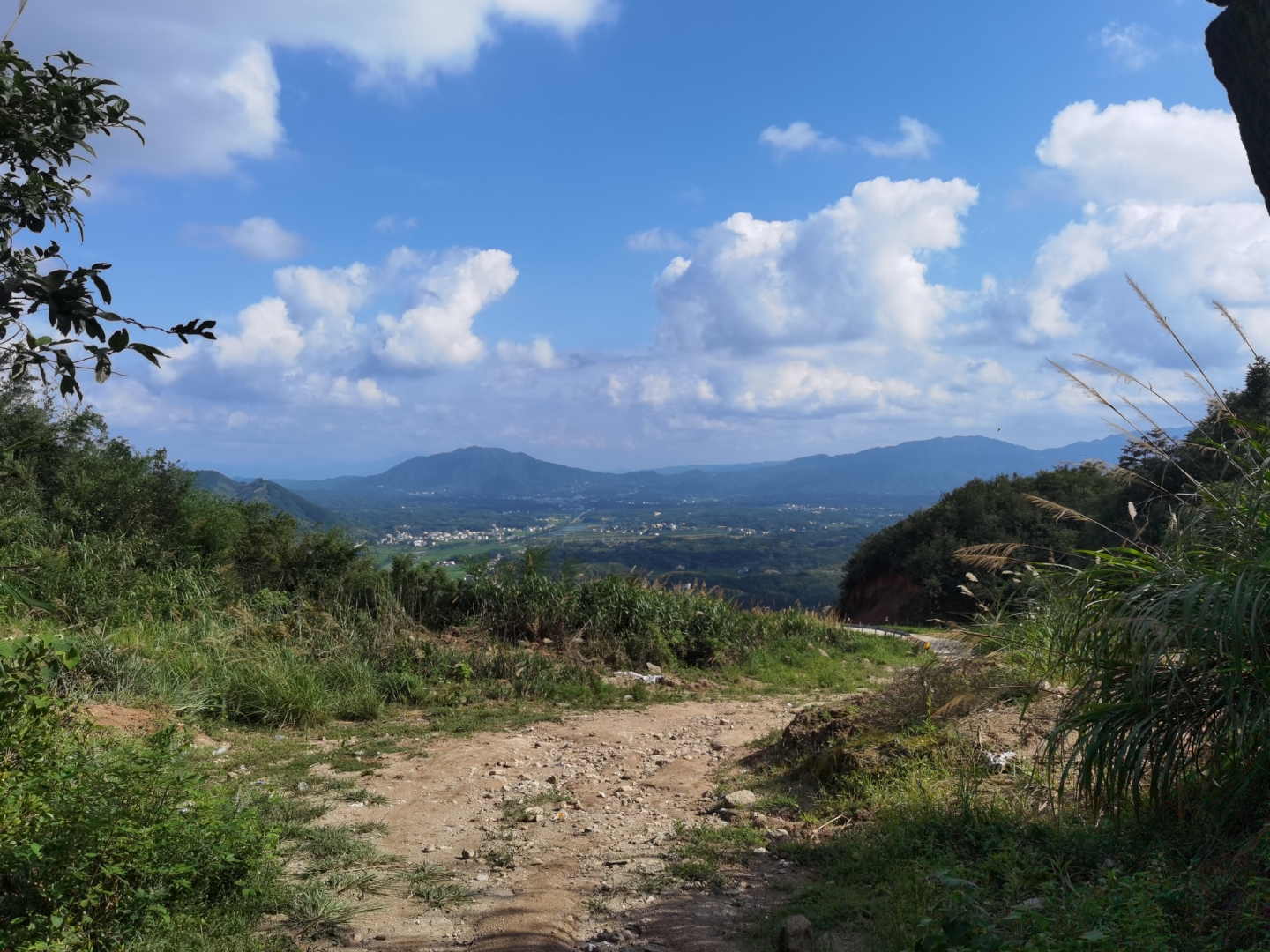 江西省九江市修水县白岭镇的百分之八十