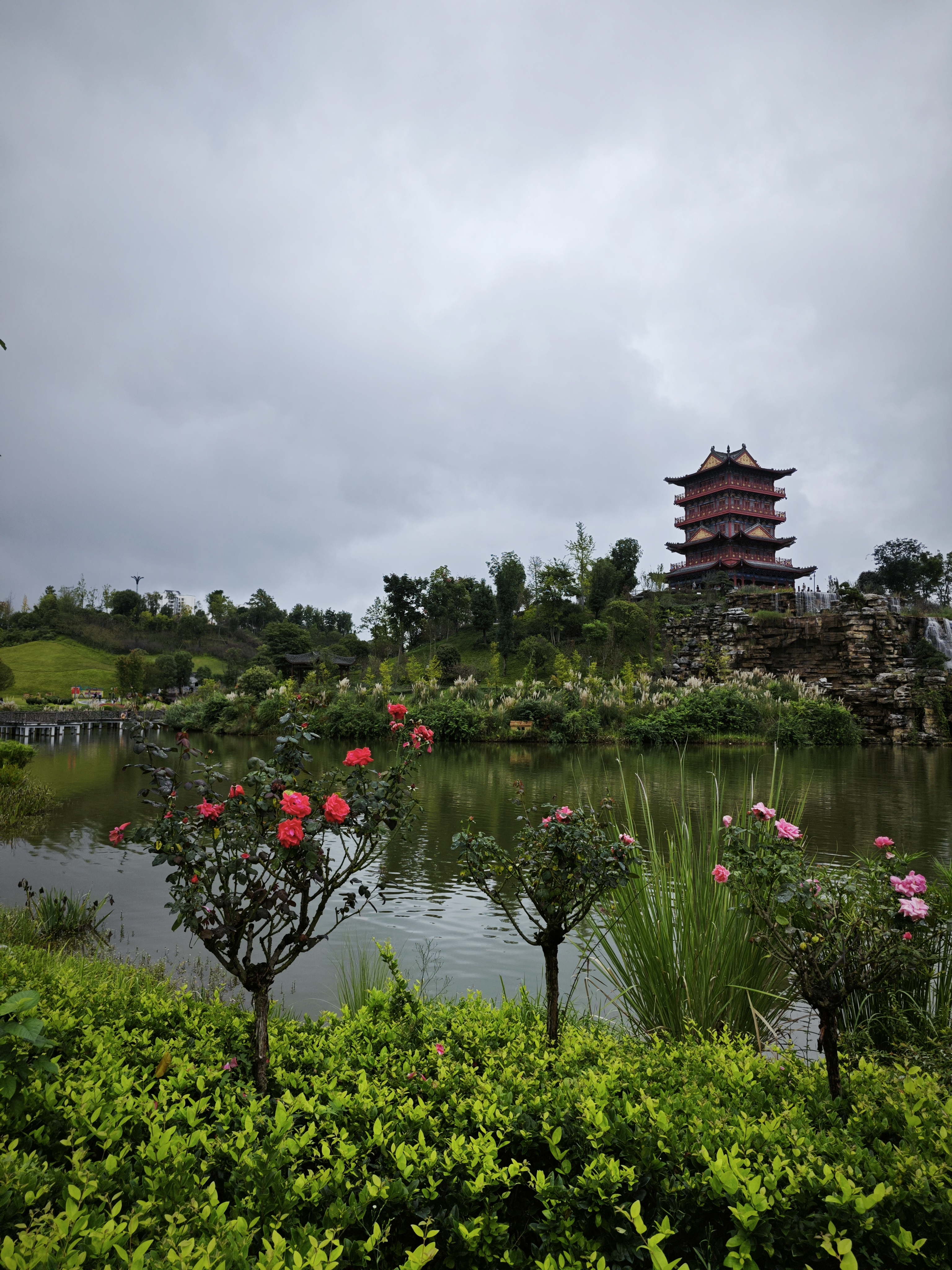 大足香国公园,丹桂飘香