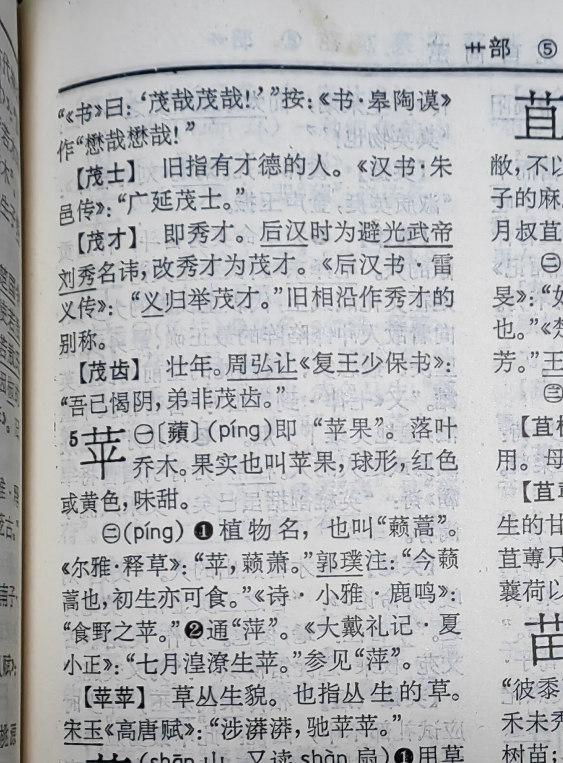 "苹"组词的小故事,讲一小学生在语文考试中写了苹果之后,还有两个空格