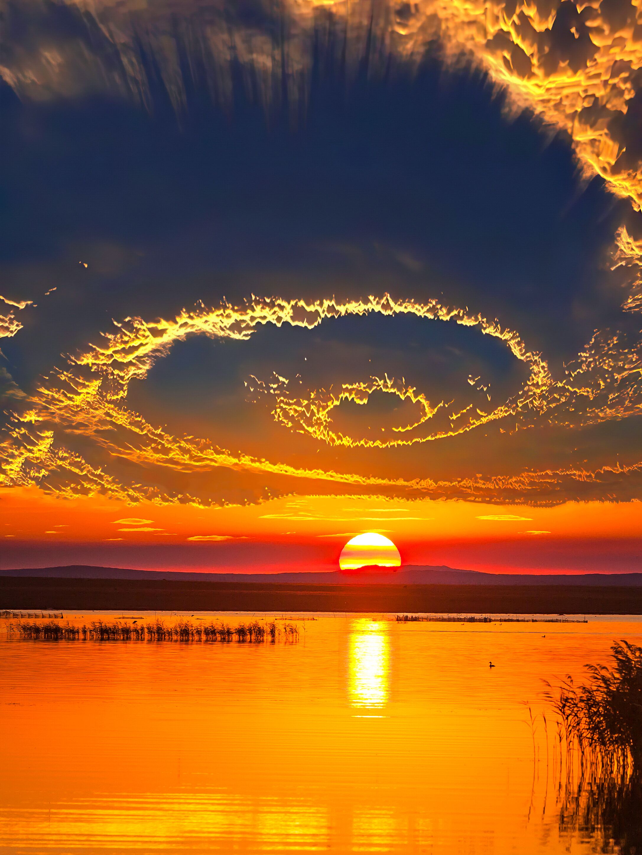 当太阳渐渐靠近地平线,  天边绽放出令人陶醉的橙红色,  云朵们纷纷