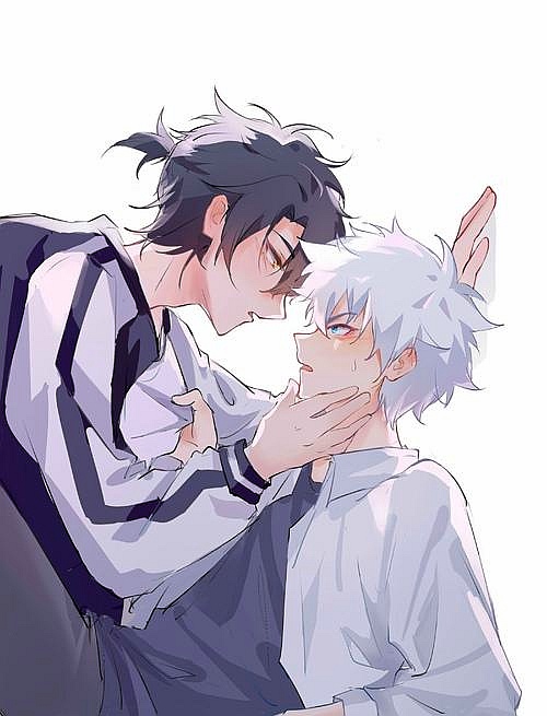 啊啊啊!程小时陆光!为你们痴!为你们狂!为你们匡匡撞大墙!