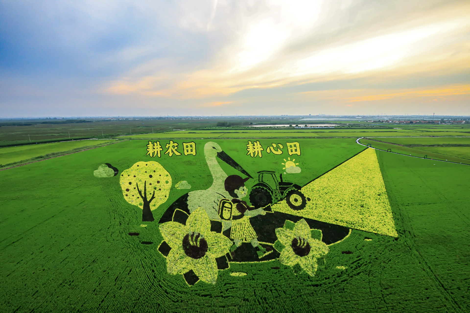 东营市永安镇稻田画