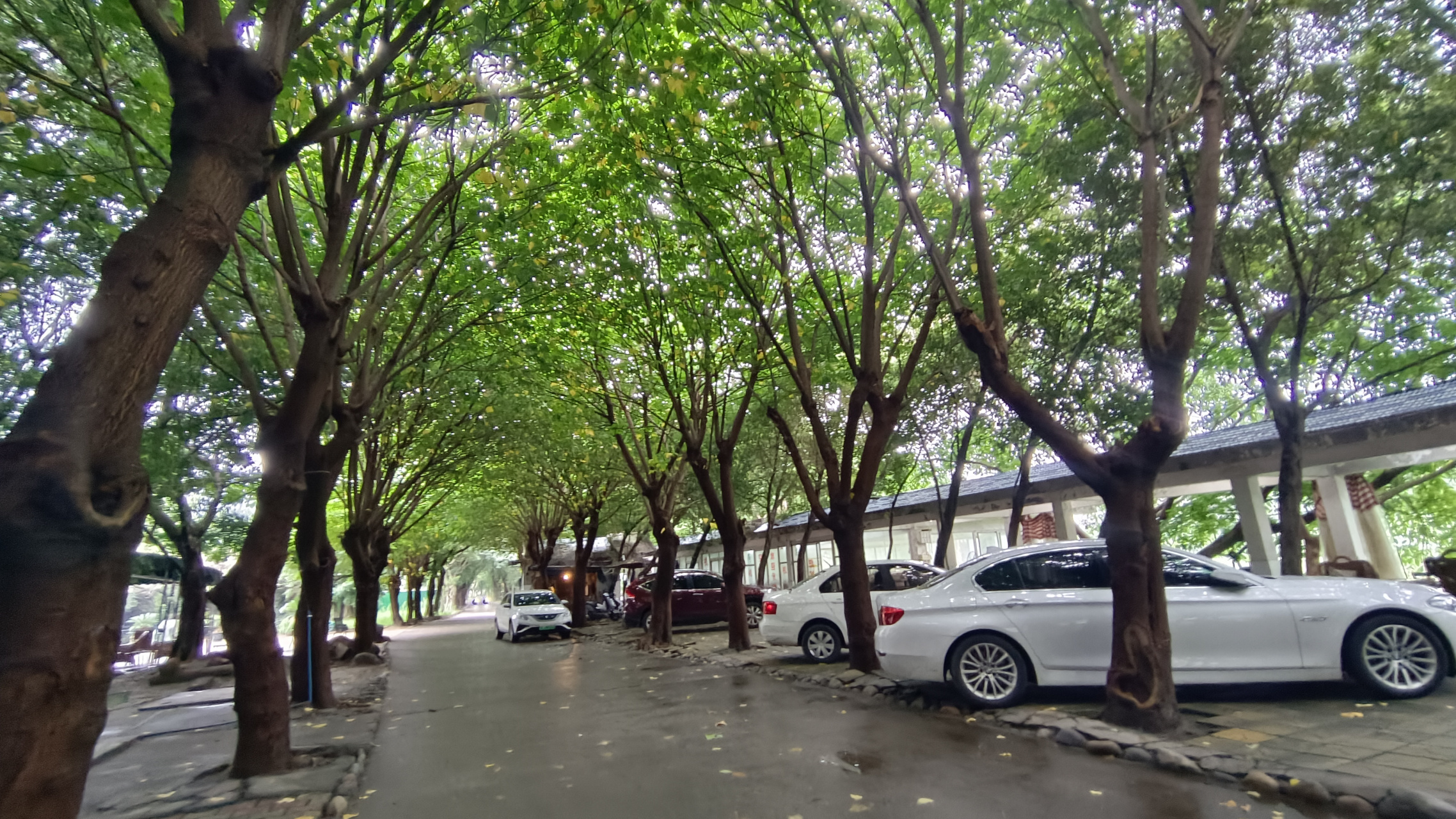 暑假来成都耍#  今天去了成都双流区石羊场附近的国防乐园,仿佛穿越