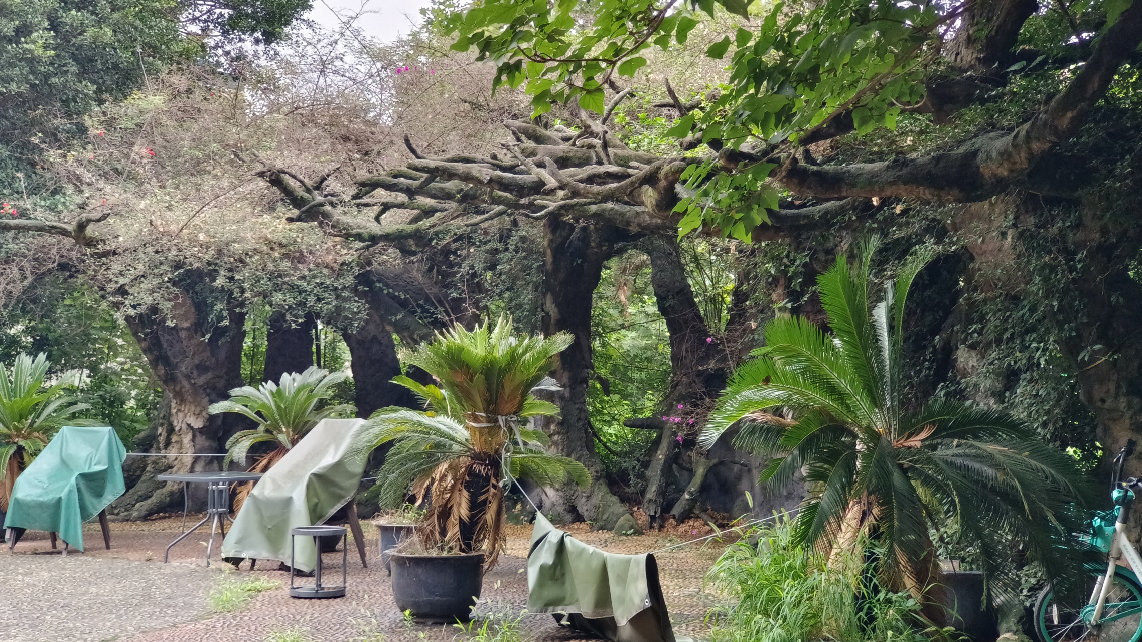 暑假来成都耍#  今天去了成都双流区石羊场附近的国防乐园,仿佛穿越