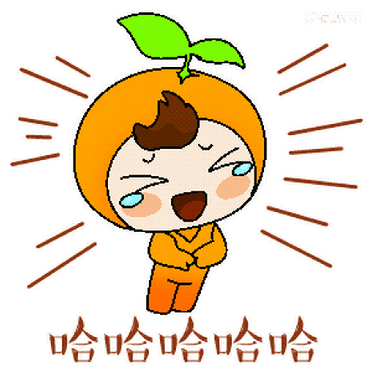 草本家族表情包合集 橘皮仔哈哈大笑