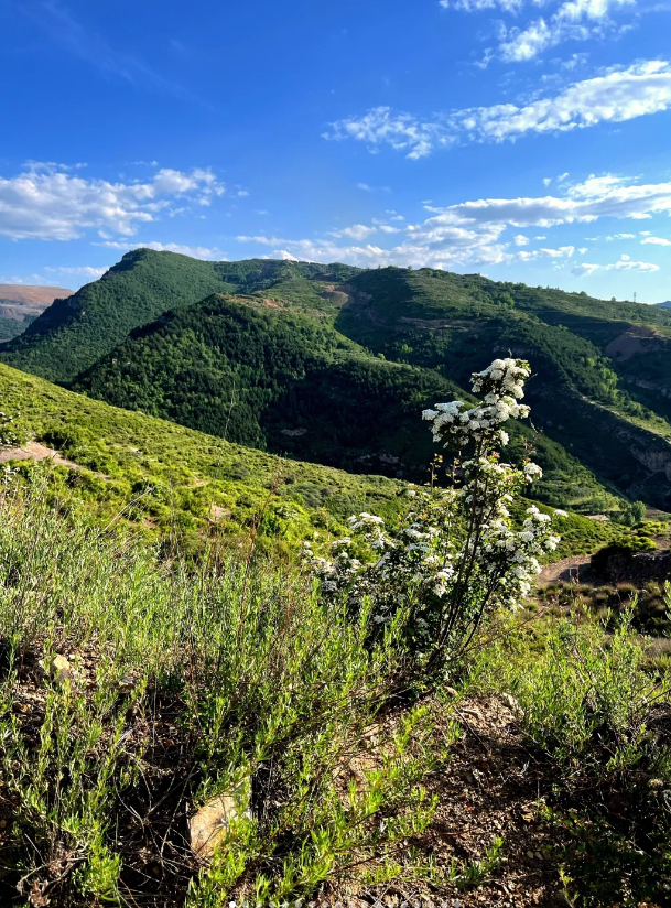 我家乡的大山,绿意盎然,风景如画.