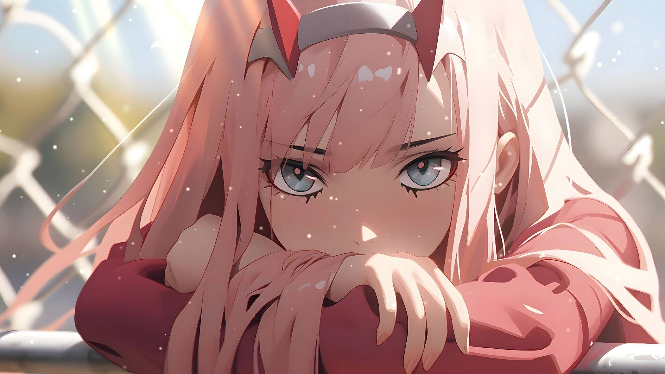 国家队02电脑壁纸分享:你是我的daring吗(ˊ07ˋ*)79