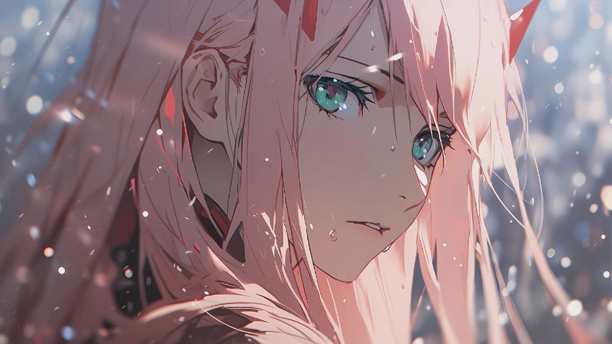 国家队02电脑壁纸分享:你是我的daring吗