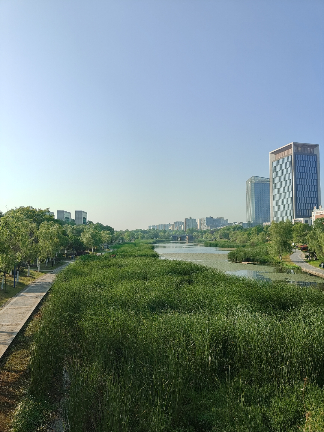 安庆市怀宁县天气在线 安庆市怀宁县天气在线