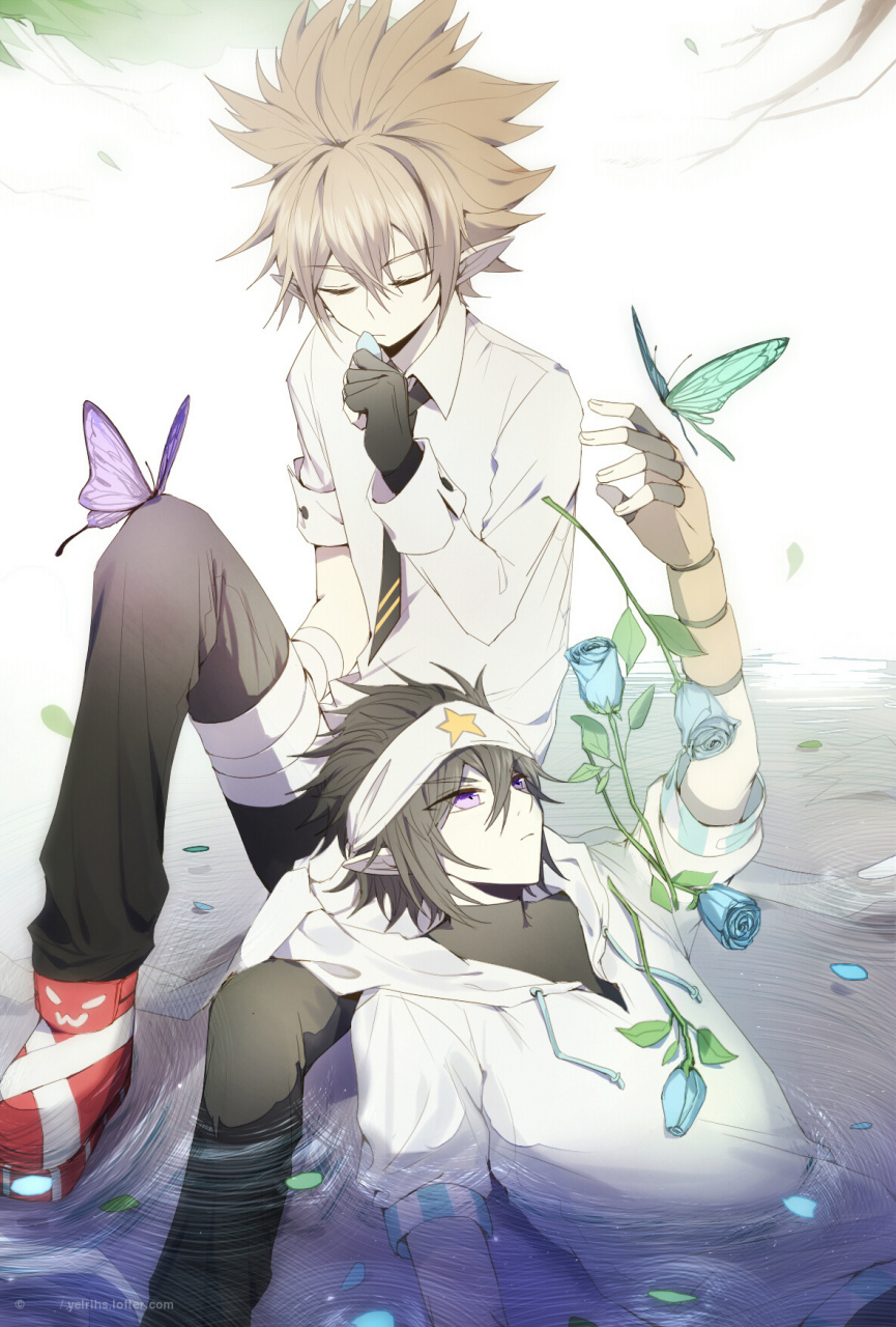 发一张高清无水印的蝴蝶海图片