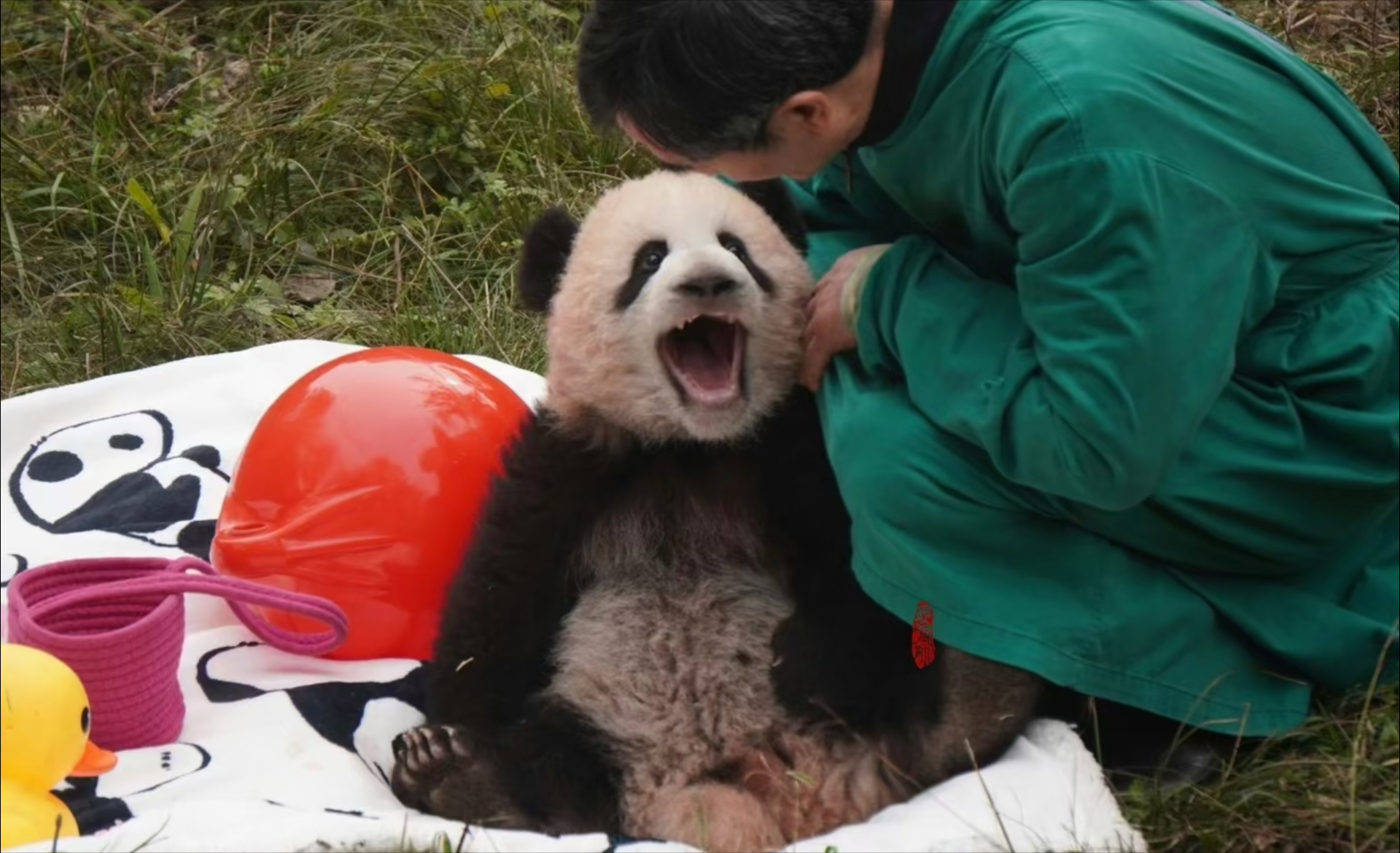 小五张的玩法图片