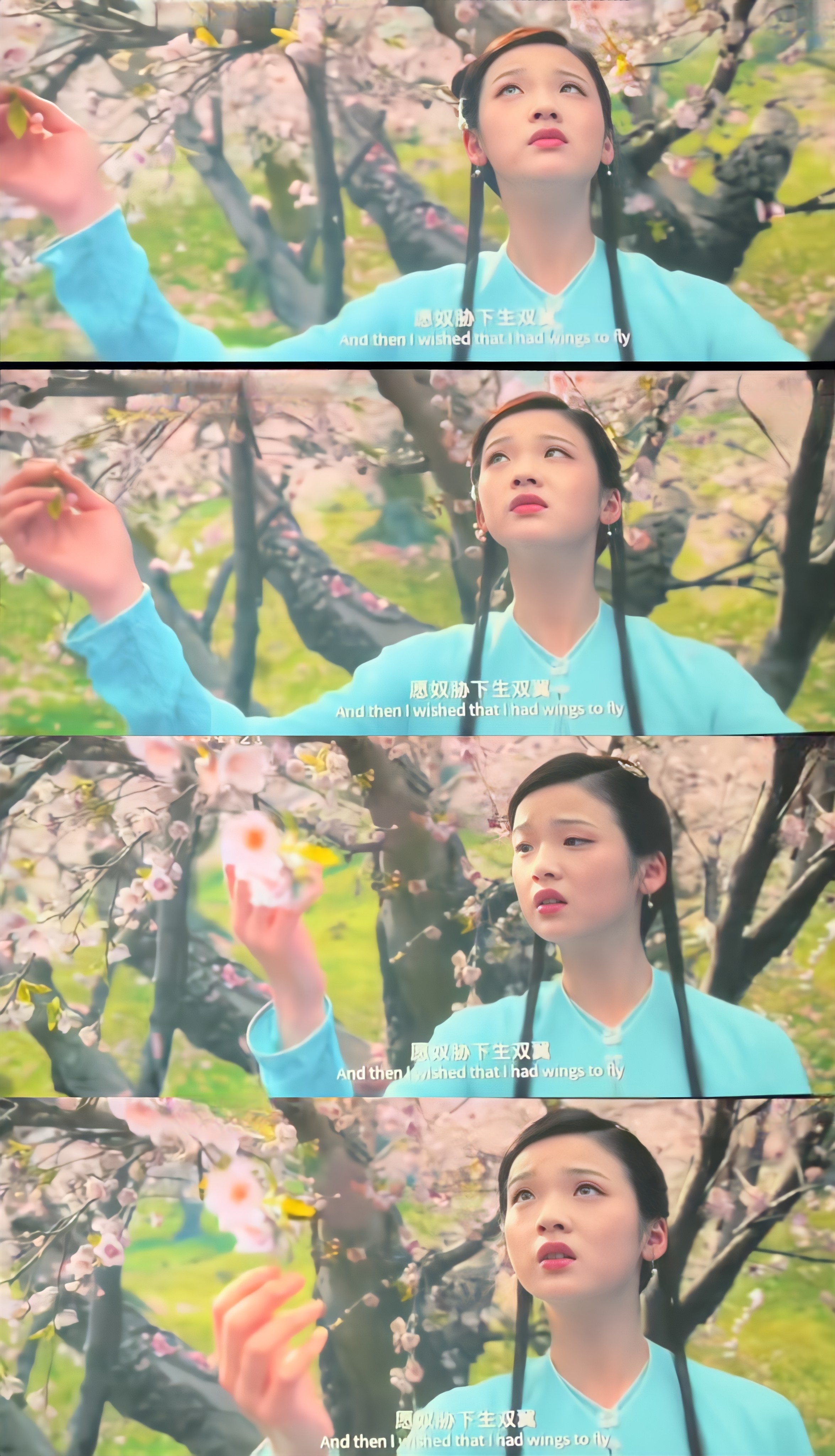 《红楼梦》演员阵容 改编自清代曹雪芹同名小说 导演:胡玫(汉武大帝