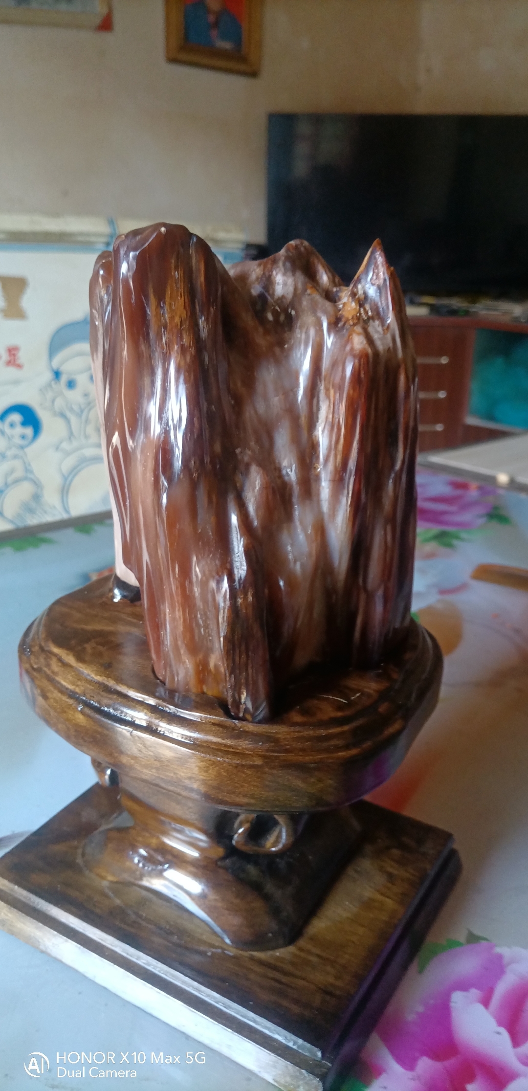 缅甸树化玉有没有喜欢的关注